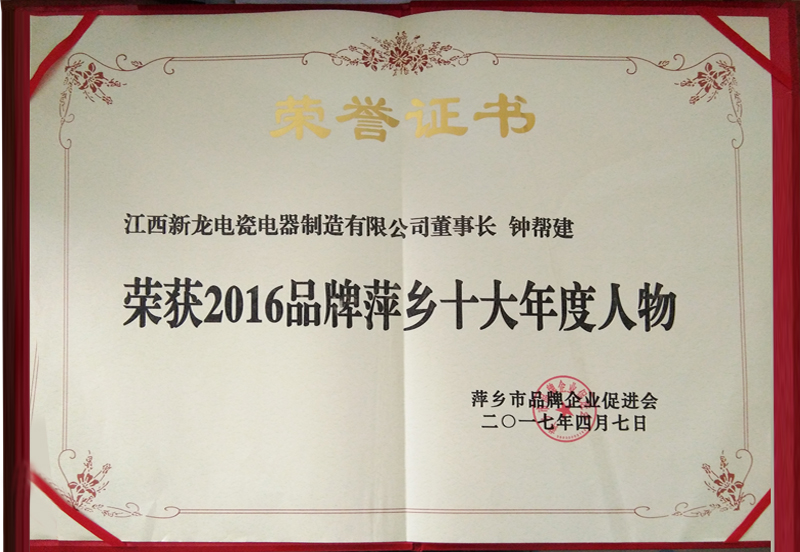 2016品牌萍乡十大年度人物
